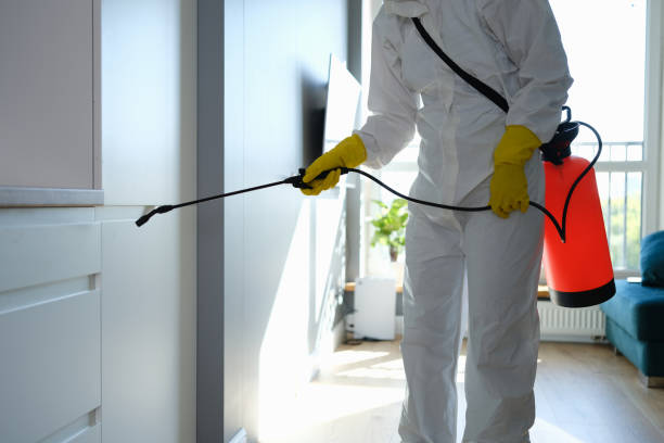 Professional Mold Remediation in Hawarden, IA